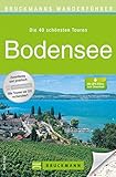 Wanderführer Bodensee: Auf 40 meist kindgerechten Wanderungen am Seeufer, durch Weinberge oder Naturschutzgebiete: Wandern rund um Konstanz, Friedrichshafen, ... den Rheinfall, Überlingen, Ludwig