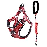 YBBT Hundegeschirr und führen Hundewestengeschirr Einstellbar reflektierend,Dog Walking Harness mit gepolstertem,weichem,atmungsaktivem No Pull Dog-Geschirr Geeignet für Welpen und mittelgroße H