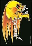 Metallica,Skull & Flames, F