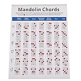 Mandoline Griffbrett und Akkord Diagramm Übungsposter Grifftabelle Diagramm Poster für Instrument M