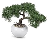 dekojohnson Künstlicher Bonsai Zypresse japanische Kunstbonsai im weißen Keramik-Topf Deko-Pflanze chinesischer Bonsaibaum Zimmerpflanze naturgetreu grün 28