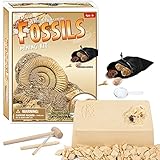 WJJ Aushub Fossilien Grab Kit, Archäologische Fossile Aushubkit Mit Lupe, Archäologische Ausgrabung Fossil Modell Experiment Unterrichtsmaterial Tolles Geschenk Für Mädchen Und Jung