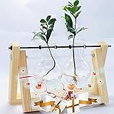 laffeya Pflanzen-Anzuchtstation, Pflanzen-Terrarium-Vase, Hydrokultur-Pflanzenhalter, Innenpflanzen-Ständer, Pflanzenliebhaber Geschenke (2 Zwiebel-Vase, beige)