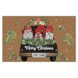 Weihnachtsteppich Matten, Zwerg Fußmatte Schmutzfangmatte, Weihnachtsdekoration 40x60x0.7CM Weihnachts Fußmatte, Weihnachten Home rutschfeste Tür Fußmatten Hall Teppiche (F)