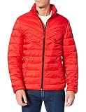 TOM TAILOR Denim Herren 1026545 Lightweight Steppjacke, 20013-Blood Orange, S