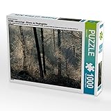 CALVENDO Puzzle Shine. EIN Motiv aus dem Kalender Jahresringe - Bäume als Wegbegleiter 1000 Teile Lege-Größe 64 x 48 cm Foto-Puzzle Bild von Sigrun Dü