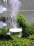 JARDLI Musik Glas CO2 Diffusor für Aquarium Pflanze (Φ50mm)