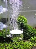 JARDLI Musik Glas CO2 Diffusor für Aquarium Pflanze (Φ50mm)