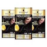 Schwarzkopf oleo intense Haarfarbe, Dreierpack, Permanente Ölfarbe, ohne Ammoniak, deckt Grau ab, Schwarz 1-10