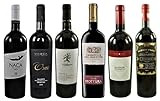 Probierpaket Primitivo zum Kennenlernen I Weinpaket mit den besten apulischen Primitivo-Weinen I Basis-Paket (6x0,75l), Perfektes Tasting-S