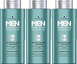 Schwarzkopf Men Power Action 3 Anti-Schuppen Shampoo + Fräser mit Pellicules 250 ml - 3er Pack (3 x 250 ml)