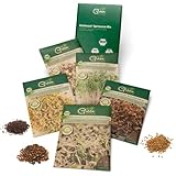 Green SEEDS Bio Keimsprossen Saatgut 5er Set in nachhaltiger Graspapier-Verpackung (Brokkoli, Bockshorn, Senf, Gourmet, Wellness-Mix)