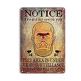 617 Yard Signs Videoüberwachung Zyklops Lustiges Metallschild Metallschilder Rostfreies Aluminium Wetterbeständig Wasserdicht Langlebige Tinte Einfach zu montieren 20,3 x 30,5