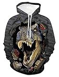 WBYFDC Sweatshirt Dinosaurier Hoodies Cooler Herbst 3D Printed Animal Pullover Movie World Herren Damen Rundhals Lose Top