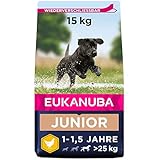 Eukanuba Hundefutter mit frischem Huhn für große Rassen - Premium Trockenfutter für Junior Hunde, 15 kg