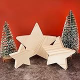 BHGT 5 Weihnachtsdeko 3 Größe (9cm+12cm+16cm) Weihnachtssterne Groß Holz Sterne Deko mit 2pcs(15cm+20cm) klein künstlich Tannenbäumen Deko Holzsterne zum B