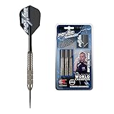 Target Darts Phil Taylor Power Silverlight Steel Tip Dartpfeile (24gr), Silber, 24g