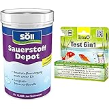 Söll 17242 Sauerstoff Depot Tabs Teichpflegemittel 30 Tabs mit 6-Wochen-Sauerstoffdepot – langfristige Sauerstoffquelle & Tetra Pond Test 6in1 (Teststreifen zur Bestimmung), 1 Dose (25 Streifen)