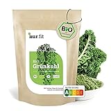 nur.fit BIO Grünkohlpulver 500g – veganes Gemüsepulver aus getrocknetem Grünkohl in Bioqualität aus deutschem Anbau – für Smoothies, Bowls, S