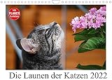 Die Launen der Katzen 2022 (Wandkalender 2022 DIN A4 quer) [Calendar] Kropf, Anna [Calendar] Kropf,