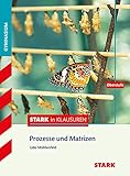 STARK Stark in Mathematik - Prozesse und Matrizen Oberstufe (STARK-Verlag - Training)