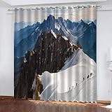 TTBBBB Blickdicht Vorhang Für Wohnzimmer Alpin B 264 x H 242 cm Soft Blickdicht Vorhang Gardinen Raumverdunkelung mit Ösen Ösenvorhang für Schlafzimmer Wohnzimmer 2er S