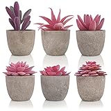 SAJANDAS Rosa Künstliche Sukkulenten Pflanzen im Töpfen, 6 Stücke Künstliche Pflanzen mit Grau Töpfen, Klein Gefälschte Sukkulenten für Deko Büro, W