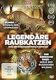 Legendäre Raubkatzen - Olimba - Königin der Leoparden & Der Sibirische Tiger - Seele der russischen W