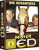 Mr. ED limitiertes Digipack: Das sprechende Pferd - Best of Collection [6 DVDs]