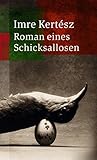 Roman eines Schick