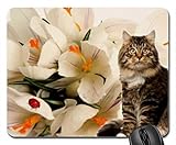 Rote Erdbeeren Reifes rechteckiges rutschfestes Gaming-Mauspad Tastatur Gummi-Mauspad für Heim- und Büro-Laptop