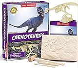 ZXCWE Dinosaurier-Skelett-Set, Ausgrabungssets, Echte Fossilien Ausgraben, Tolles Wissenschaftliches Geschenk, Tolle Pädagogische Geschenke Für Jedes Alter, Cooles Spielzeug Für Kinder,G