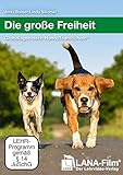 Die große Freiheit: Grundlagen nach HundeTeamSchule®