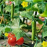 HUTHIM Ranknetz Rankhilfe Garten Tomaten Gurken 2x2.5m, Großer Rastergröße Sehr Passend Netz für Kletterpflanzen Gewächshaus Zubehör, mit 18Pflanzenclips 12Pflanzenbindern 20m L