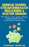 Energie sparen, Stromverbrauch reduzieren & Kosten senken - Mit diesen Tricks sparen Mieter, Eigenheimbesitzer & Unternehmen bares Geld (Ratgeber)