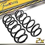 2x Federn Fahrwerksfeder Hinterachse für Beetle 5C1,5C2 Golf V 1K1 Golf VI 5K1 J-e-t-t-a III 1K2 J-e-t-t-a IV 162,163,AV3,AV2 2003-2019 RA6076