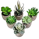 6 Stücke Künstliche Sukkulenten Pflanzen mit Töpfen Mini Kunststoff Grünes Aloe Pflanzen Ideal für Haus Büro Tische Balkon Wohnzimmer S