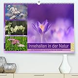 Innehalten in der Natur mit Weisheiten und Sprichworten der Indianer (Premium, hochwertiger DIN A2 Wandkalender 2022, Kunstdruck in Hochglanz)