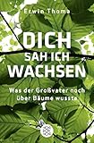 Dich sah ich wachsen: Was der Großvater noch über Bäume w
