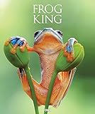 Frog King: Der Frosch - Symbol der bedrohten Natur/ The frog - a symb