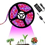 Tesfish 12V LED Pflanzenlicht Pflanze Wachsen Licht Streifen 5M mit Netzteil und Dimmer, Wasserdichtes Vollspektrum SMD 5050 Rot Blau 4: 1 Pflanzen Grow Licht für Zimmerp