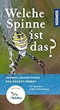 Welche Spinne ist das?: Kosmos Basic (Kosmos-Naturführer Basics)