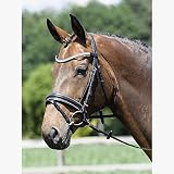 Busse solibel Trense Style Pony, schwarz/Silber_Cry
