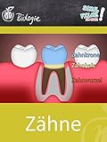 Zähne - Schulfilm Biolog