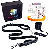 Schwarze Nylon-Seil-Anti-Traktion-Hundeleine mit Auto-Sicherheitsgurtschnalle + Freihand-Hundezubehör + Flohhalsband für mittlere und große Hunde für optimale Sicherheit und Komfort bei lhren Sp