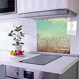 banjado® Küchenrückwand Glas als Spritzschutz für Küche 70x70cm – Fliesenspiegel mit Motiv Kornfeld – Nischenrückwand selbstklebend ohne Bohren aus Sicherheitsglas - magnetisch & beschreibb