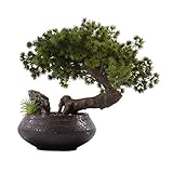 Künstlicher Bonsai-Baum Chinese Artificial Cedar Künstliche Bonsai-Verzierungen, Hauptportal Micro Landschaft Grünpflanze Keramik Topf Künstliche Pflanze Künstliche Baum Gefälschte Pflanze im Top