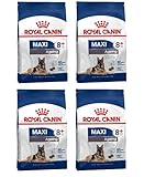 GroßhandelPL Royal Royal Canin Maxi Ageing 8+ Hundefutter Trockennahrung 4 x 15kg