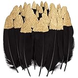 Vidillo Bunte Federn, 40 Stück Gold/Silber getauchtes natürliches rot/Schwarz Gänsefedern, ideal als Dekoration zum Karnival für Halloween Fest Masken, Kostüme und Basteln für Kinder(Feathers F)