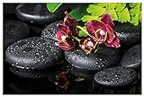 Wallario Küchenrückwand/Spritzschutz aus Glas 60 x 90 cm, in Premium Qualität, Motiv: Dunkelrote Orchideen-Blüte auf schwarzen Steinen mit Regentropfen - abwischbar & pfleg